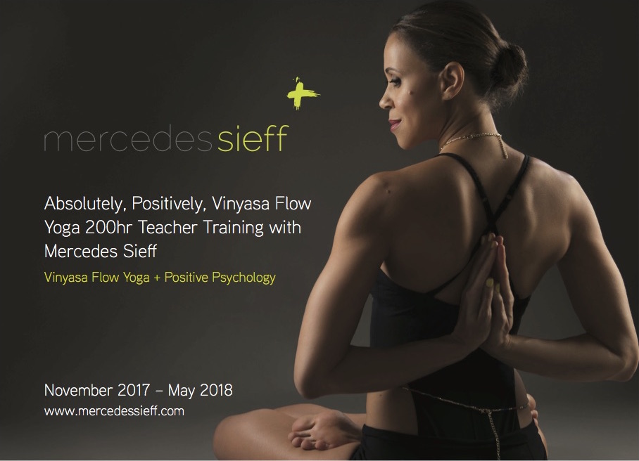 mercedes-teacher-training-flyer-A6 160517-JL copy